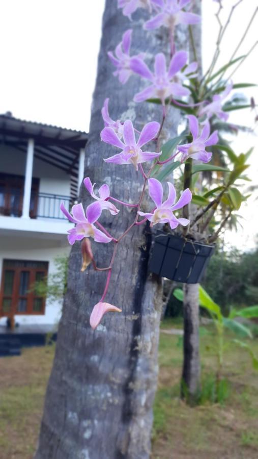 Mellow Villa Tangalle Esterno foto